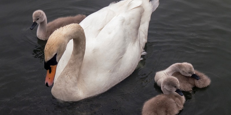 5 Reasons to Buy Life Insurance | Life Credit