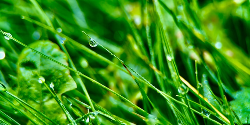 Low-Carb Can Reduce Cancer Risk | Help for Cancer Patients