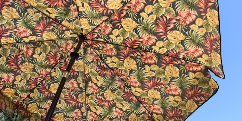 Can Life Insurance Affect your Medicaid Eligibility? | Life 