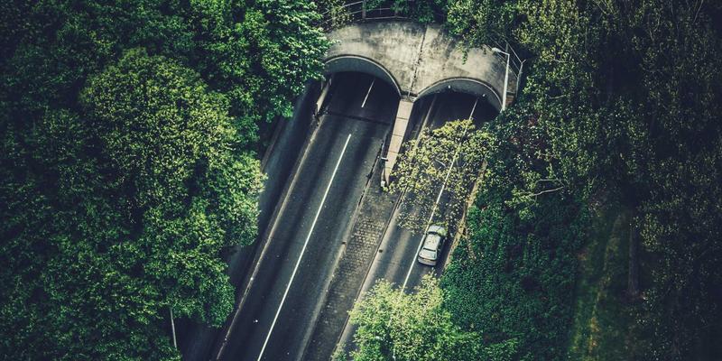 Does Term Life Insurance Have Cash Value? | Life Credit