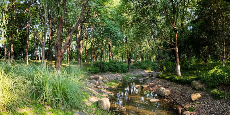 Healthy Choices To Help Reduce Cancer Risk