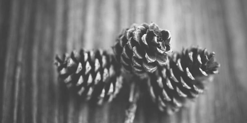 How Does Cancer Treatment Affect The Pelvic Floor? | Life Cr