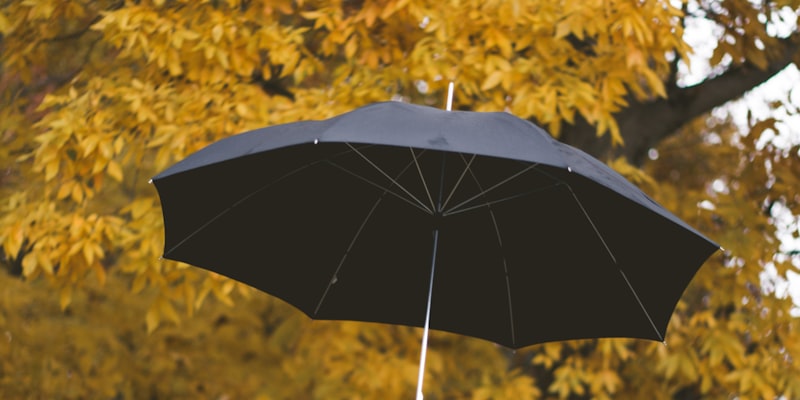 How does your Life Insurance Cash Value Build? | Life Credit