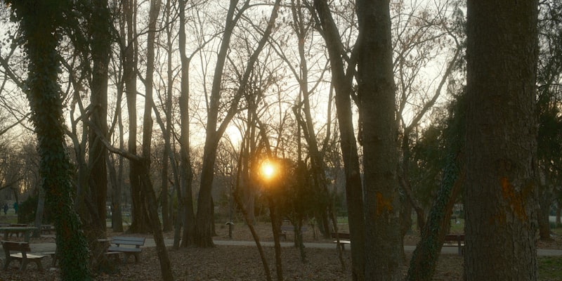 How to Choose a Home Health Care Provider | Life Credit Comp