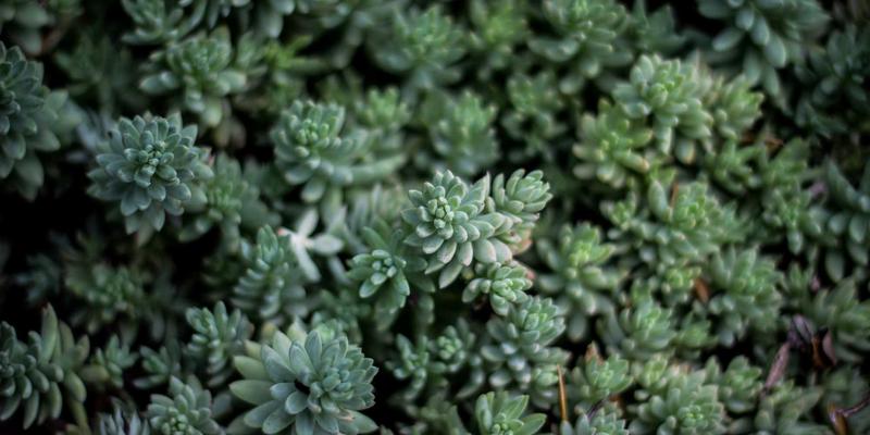 How to Make Gift Baskets for Cancer Patients - Life Credit C