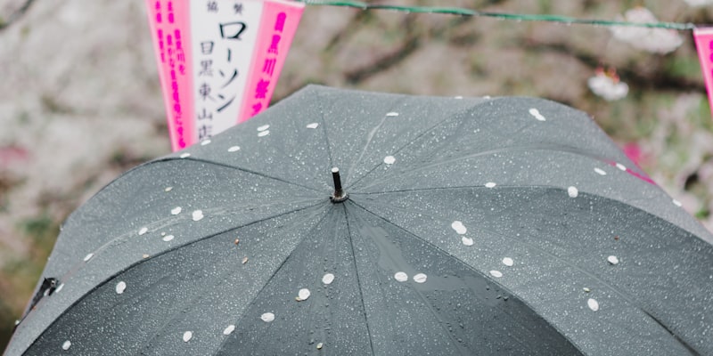 Does Life Insurance Payout for Cancer | Life Credit