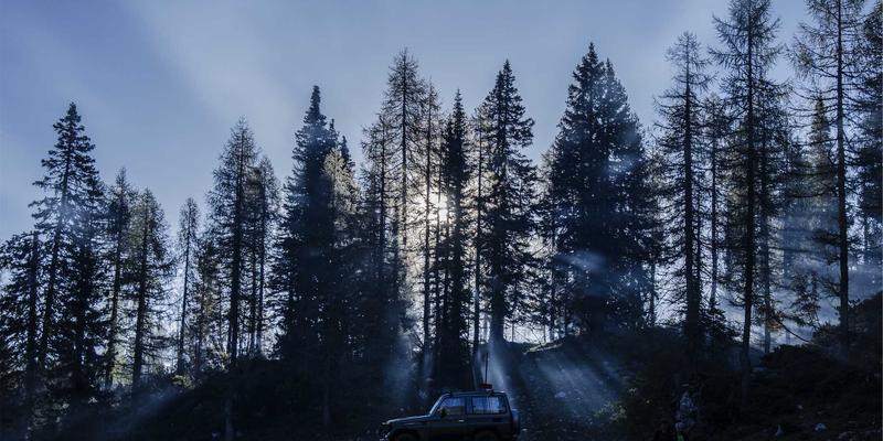 Claiming Life Insurance Death Benefits | Life Credit