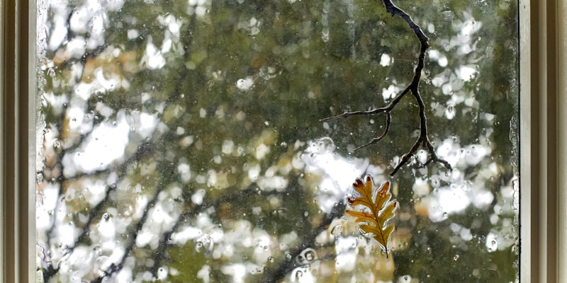 How Meditation Helps Cancer Patients | Meditation for Cancer