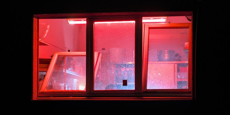 Embryo Research Discoveries | Help for Cancer Patients