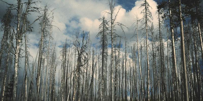 Music Therapy Can Help Provide Relief for Cancer Patients