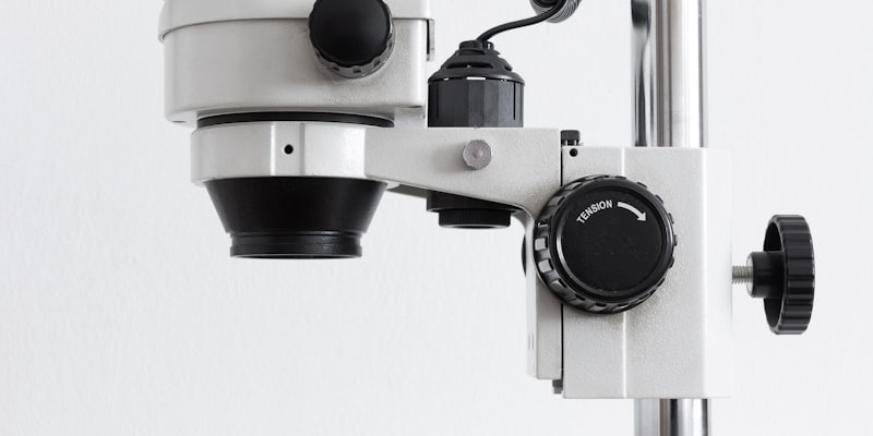 Viruses Assisting Cancer Patients and Treatments | Activatin